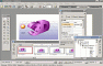 screen2.gif