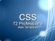 72procsswebtema102.jpg
