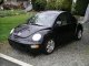 NewBeetle.jpg