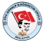 zgi.png