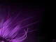 Purple_Abstract_Wallpaper_by_xSlaerx.webp