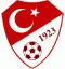 turkiye-futbol-federasyonu.webp