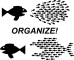 organize-fish-picture-md.png