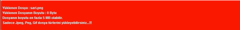 hata.png