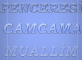 CAMACAM.png