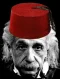 Einstein.webp