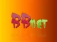 bbnet_3D.webp