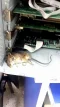 20131126_094516.webp