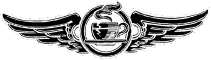 WING-LOGO-cracked-cup.gif