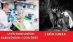 123.webp