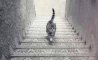 1428744780_kedi.jpg