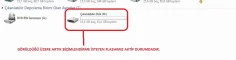 12.webp