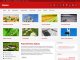 rubine-wp-theme.jpg