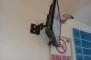 IMAG2065.webp