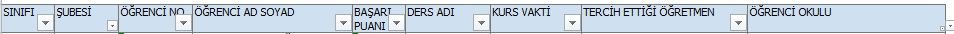 excel.JPG