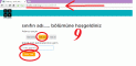 code09.gif