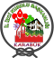 logo.png