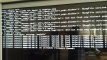 20160922_130546_1474539791344_3.JPG