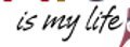 zel Font2.jpg