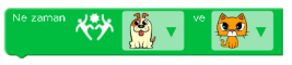 NEDİR.PNG