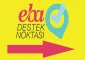 ebadestek3.webp