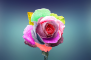 soru1.png