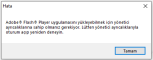 flash-player.PNG
