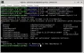 ss2.webp
