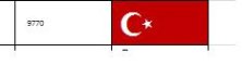 BAYRAK.JPG