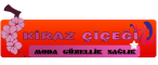 kiraz.png