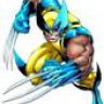 wolverinex