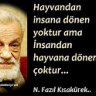 gazigokmen