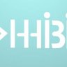 hibritbilisim