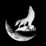 Haluk_