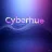Cyberhue