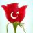 rhnzdmr