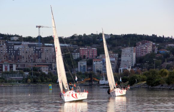 BİLGİ Cup yelken yarışlarında şampiyon belli oldu