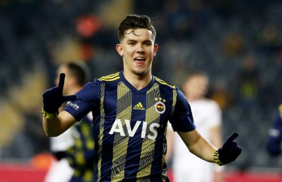 Fenerbahçe 2-0 Kayserispor MAÇ ÖZETİ
