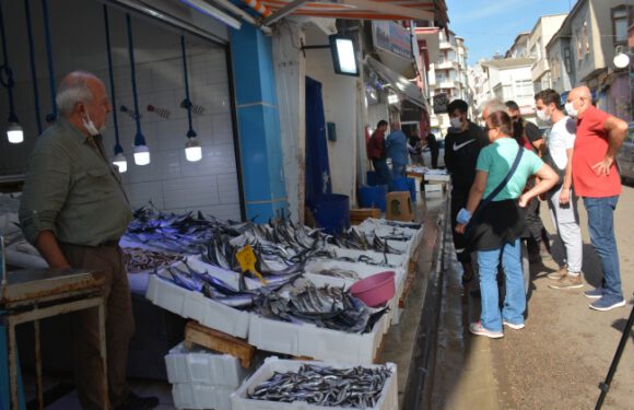 Tezgahlarda palamudun yerini hamsi almaya başladı