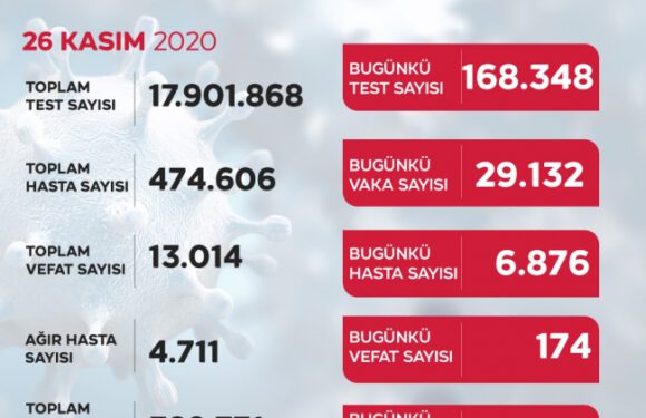 Son 24 saatte 29 bin 132 kişiye koronavirüs teşhisi konuldu