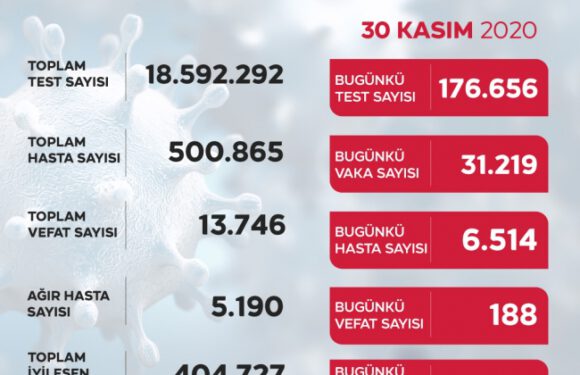 Son 24 saatte 31 bin 219 yeni vaka
