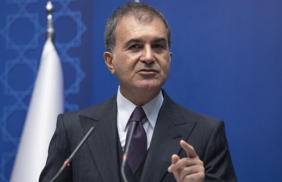 AK Parti Sözcüsü Çelik: Bu vahşeti gerçekleştiren caniyi lanetliyoruz