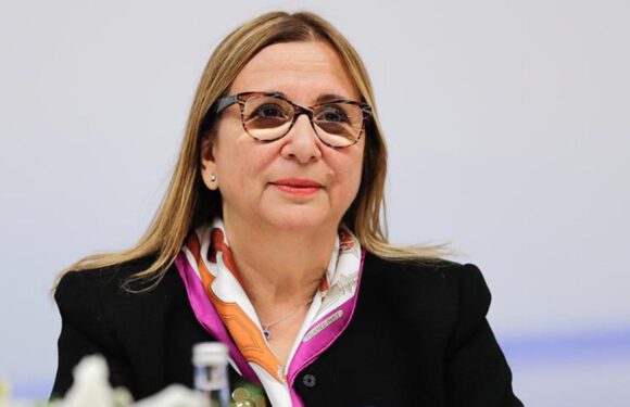 Bakan Pekcan: Birleşik Krallık ile imzalayacağımız anlaşmayı kamuoyu ile paylaşmayı umuyoruz