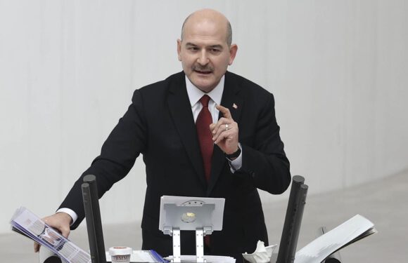 Bakan Soylu: Terör destekçisine, ihbarcısına, iş birlikçisine de ‘terörist’ diyoruz