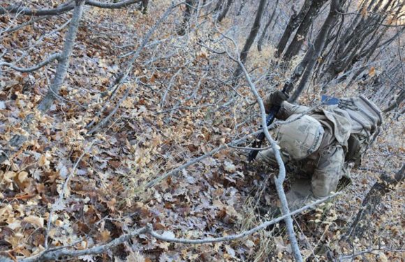Bitlis kırsalında terör örgütüne ait 1 ton amonyum nitrat ele geçirildi