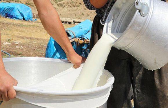 Çiğ süt tavsiye fiyatına litre başına 30 kuruş destek verilecek