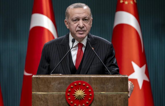 Cumhurbaşkanı Erdoğan: Esnafımıza üç ay süreyle kira desteği yapacağız