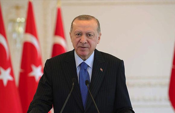 Erdoğan: Milletimizi küresel rüzgarların önünde savurmak isteyenlere meydanı bırakmayacağız