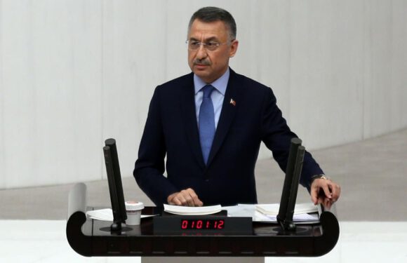 Fuat Oktay: Teröristleri vurdukça sesi Fransa’dan geliyor