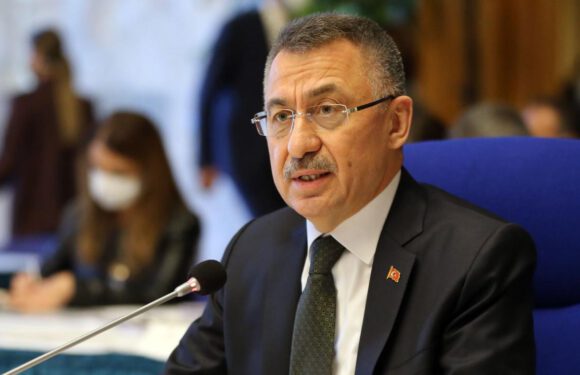 Fuat Oktay: Türkiye, Kıbrıs Türkü’nün yanında olacak